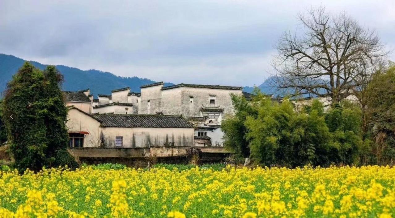 Xishan Wutong Qinyuan Montes Huang Exterior foto